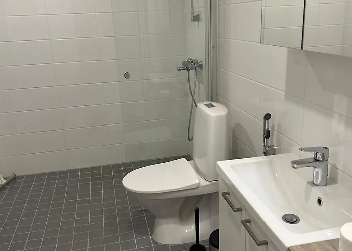 Apartment Aino 50m2 Apartment, Private Sauna, Lovely Balcony Seinajoki